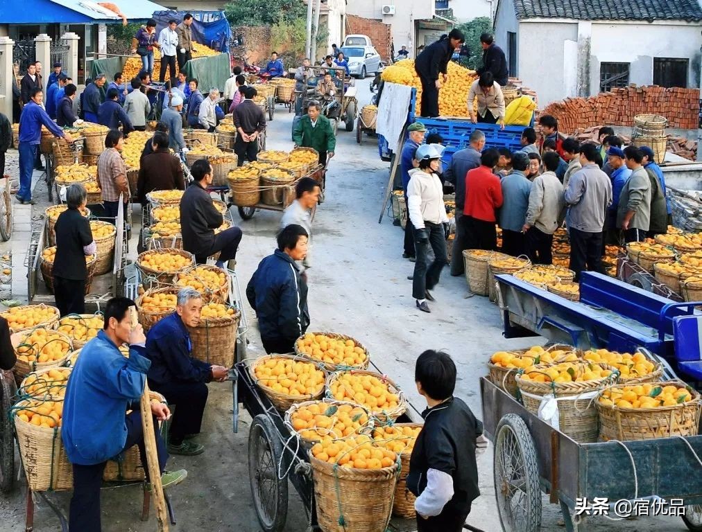 32张美景图片,苏州东山西山风景区哪个更值得去