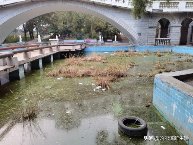 哈尔滨曾经的高端小区,哈尔滨曾经的示范小区