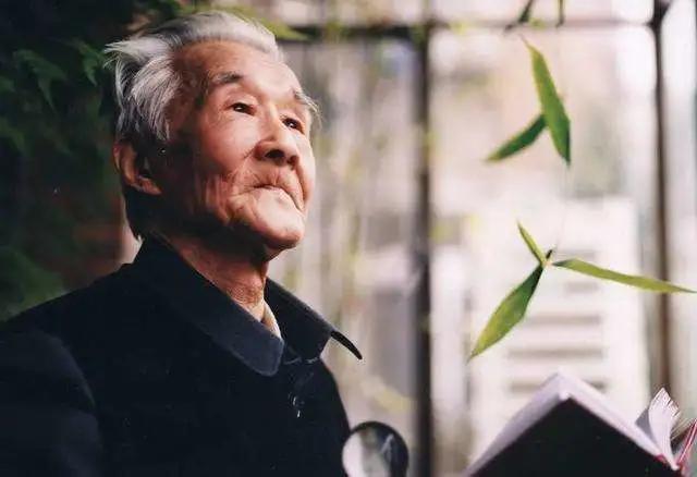 津南区打架,津南区打架视频