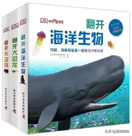 dk科普书怎么样,dk值得入手的书籍