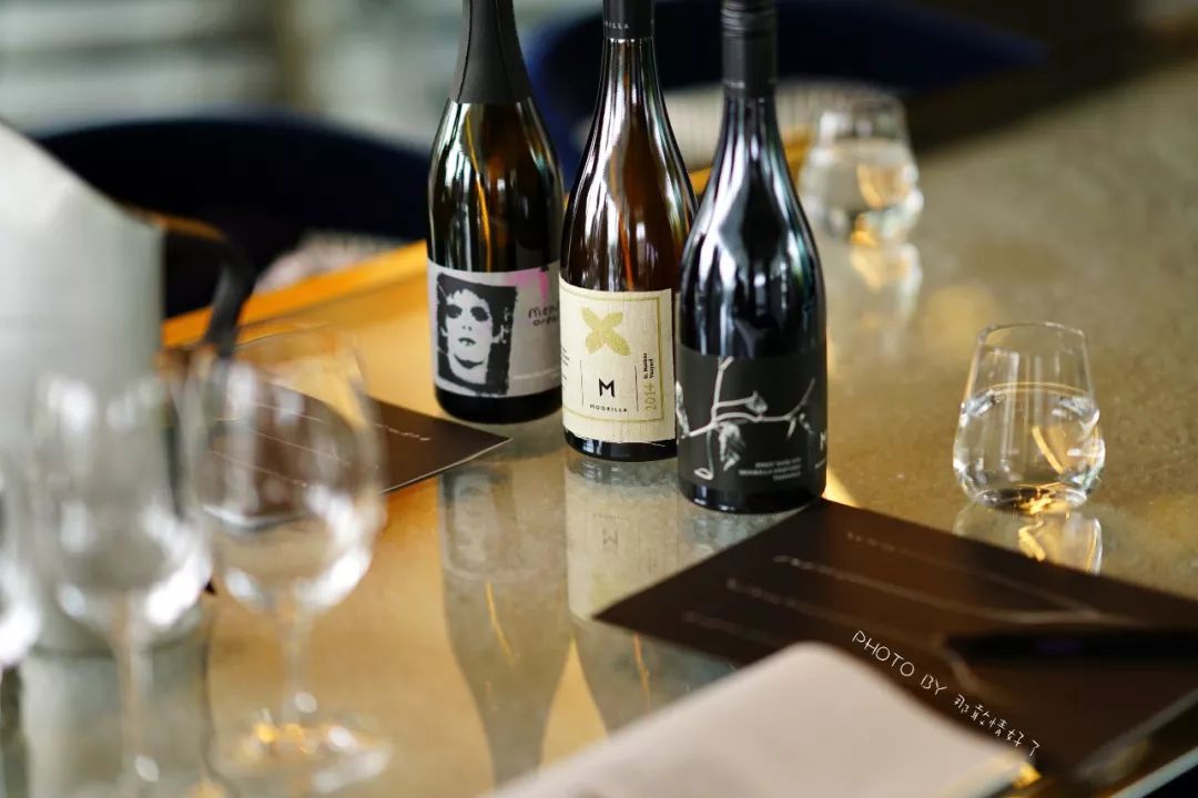 去哪里旅游可以看南极企鹅,旅游攻略南极看企鹅