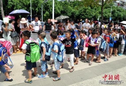 少儿编程取代奥数成新宠,学习少儿编程和奥数哪个好