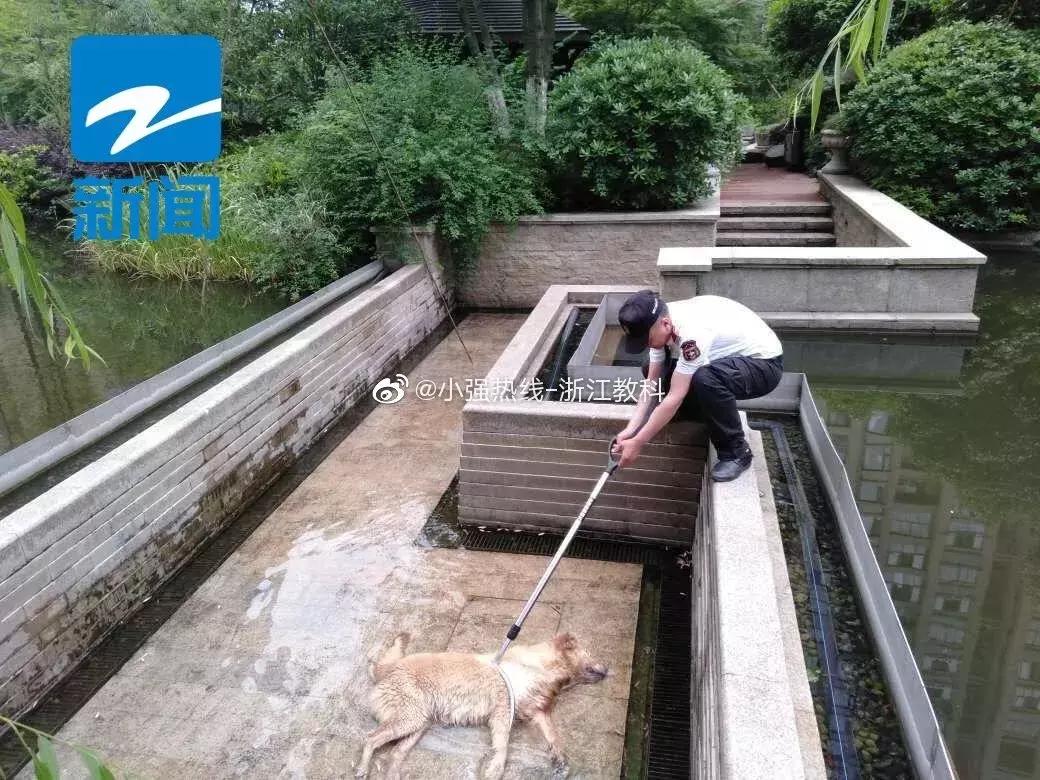 要孩子远离危险玩具,不要给宝宝玩危险的东西