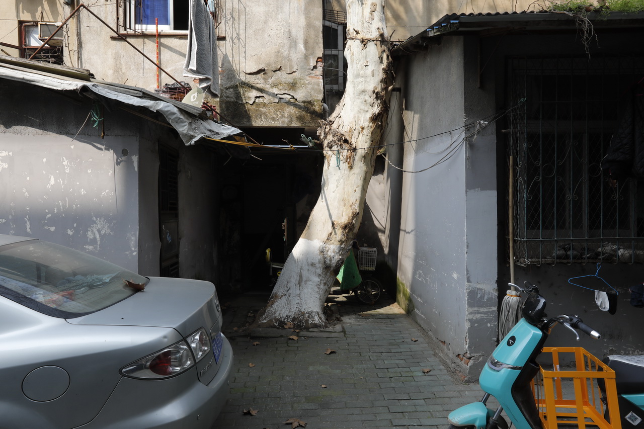 武汉大型灯泡厂,武汉灯泡厂档案