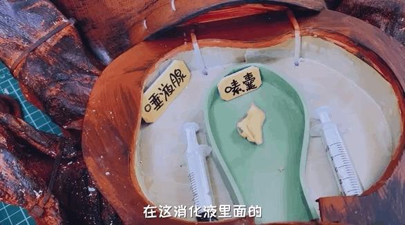 如何灭绝室内蟑螂虫卵,消除老房子蟑螂的方法