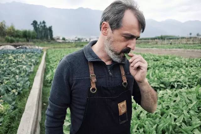 他在大理租下23个足球场大的地方，种菜、养牛、建农场日子过成诗