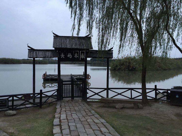 欢聚沙家浜,以情代声沙家浜