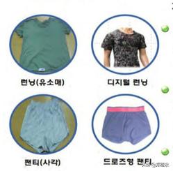 韩国陆军服役服,韩国陆军师标志