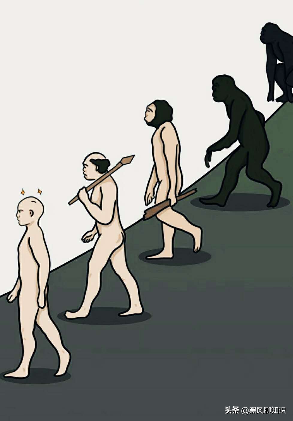 为头发祈福，日本为防止秃头丧心病狂！100年后，秃顶才是归宿？