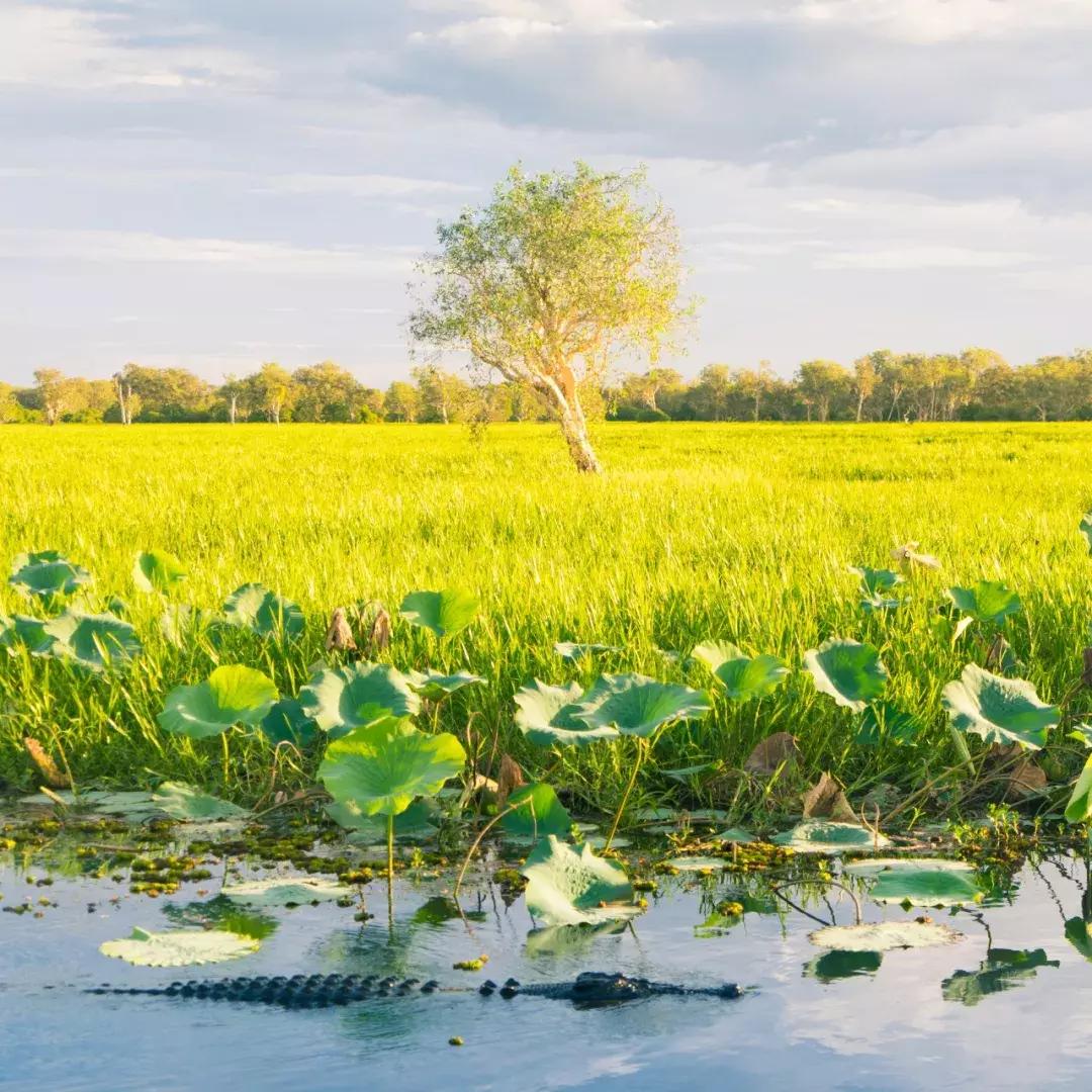 会玩的人一般去哪玩,为什么澳大利亚四面环海
