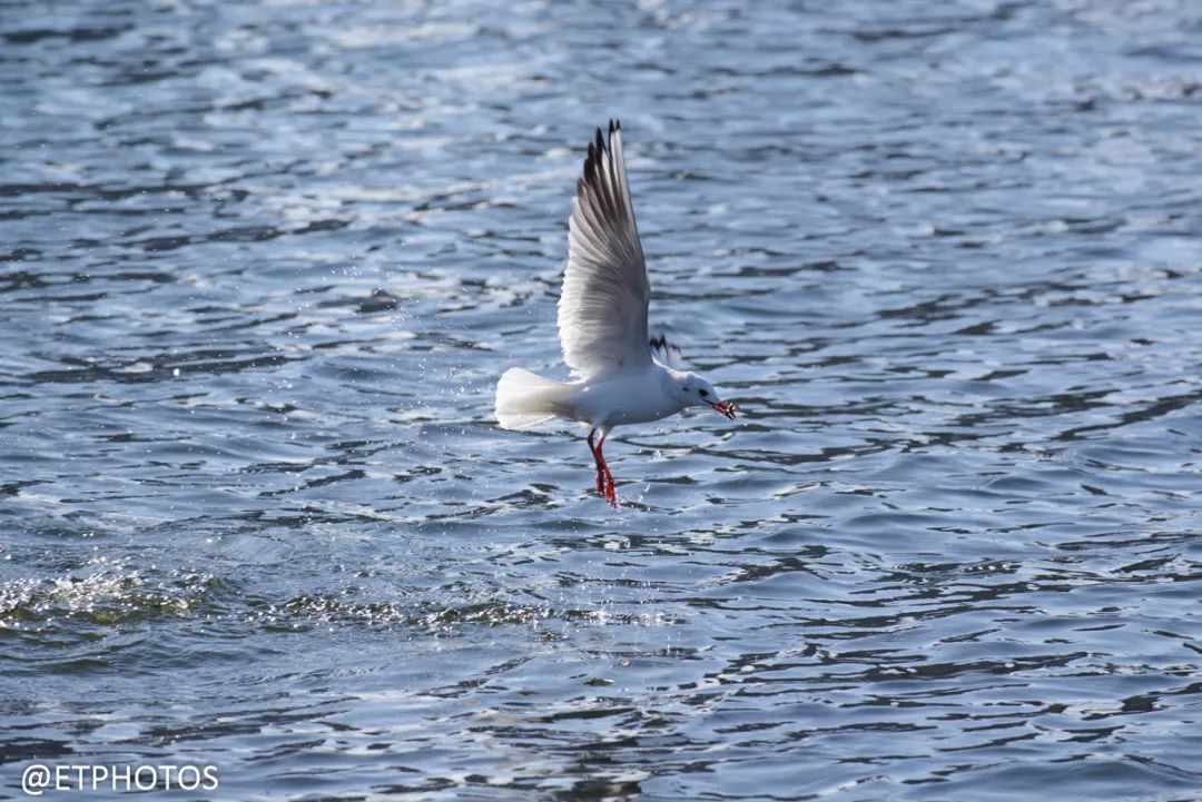 最后一代全画幅单反,十年前的单反推荐全画幅