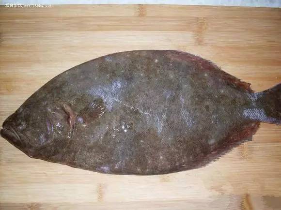 中国海鲜河鲜,市场河鲜海鲜种类大全