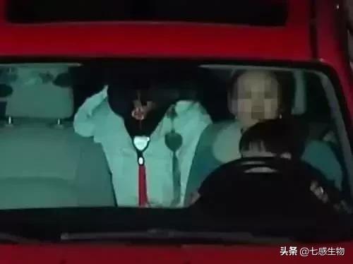 车都压扁了孩子却没事,有娃的家长们都应该学习这些知识