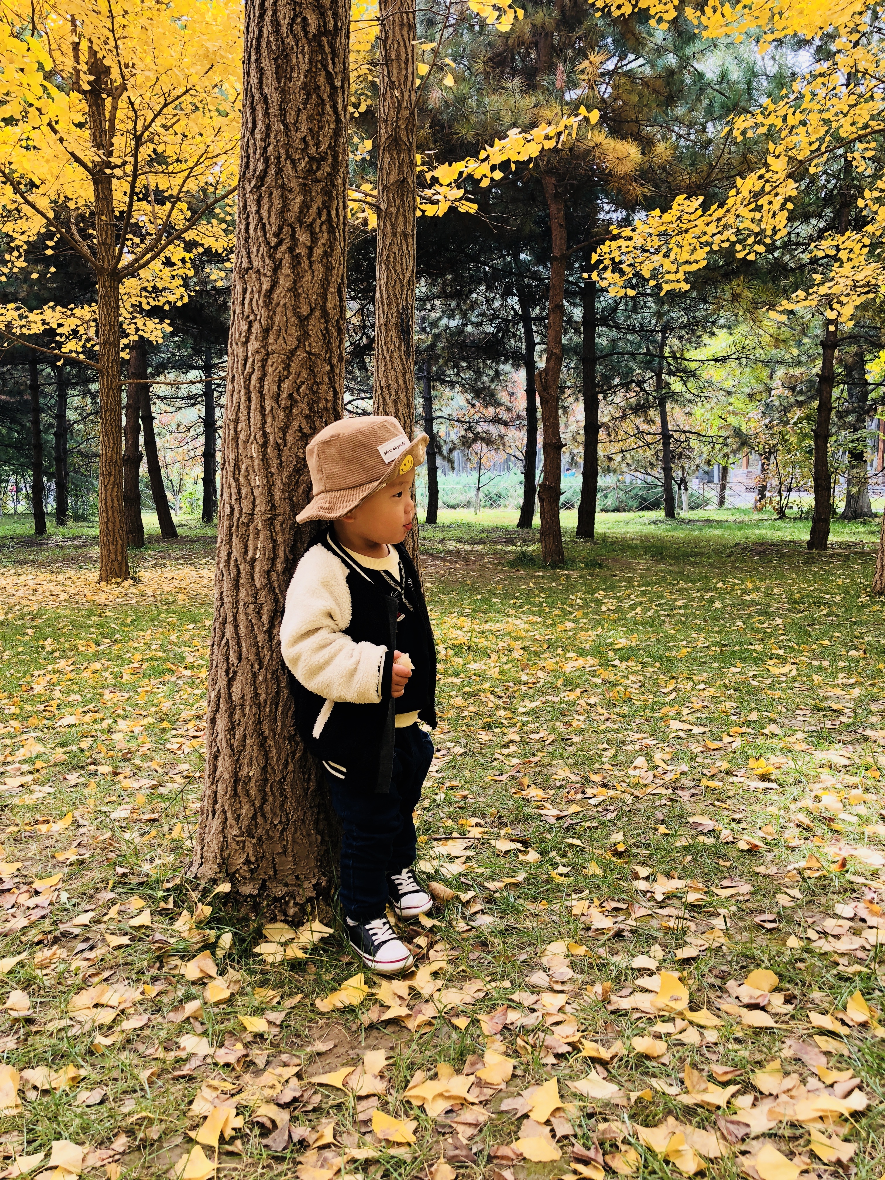 乳腺炎的自述和治疗,乳腺炎的斗争