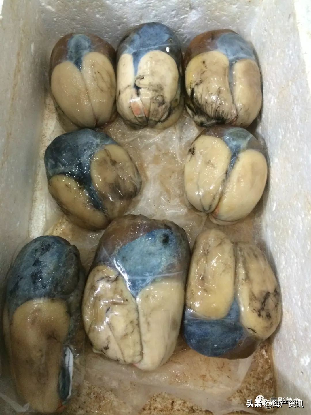 全世界顶级的4种海鲜,世界十大名贵海鲜