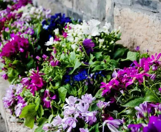 南京最好的山庄排名,南京最美的6个地方你都去过了吗