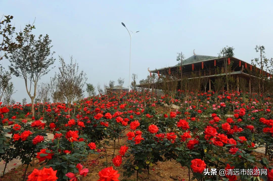 美景就在家门口下句是,美景就在家门外