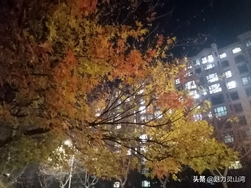 青岛的房屋空置高吗,青岛西海岸新区房子为什么会掉价