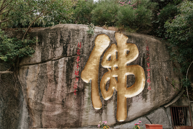 厦门旅游攻略两天两夜详细攻略,厦门旅游攻略一日游详细攻略