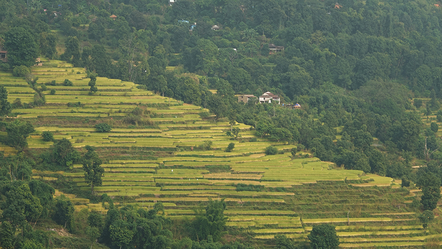 尼泊尔十堰,尼泊尔为什么这么穷