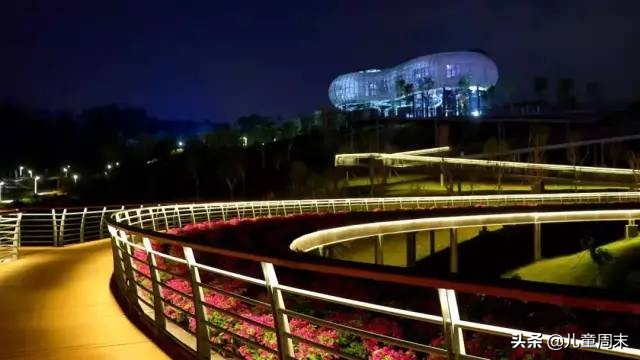 深圳中心公园足球场,深圳中心公园大草坪