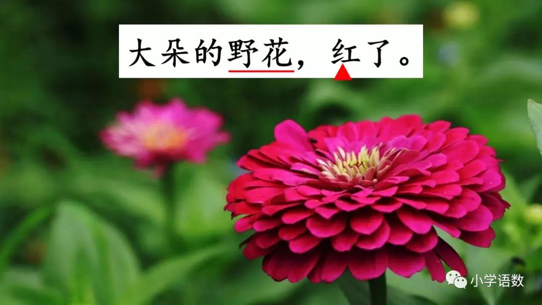 二年级下册语文彩色的梦教学视频,二年级语文下册彩色的梦教材全解