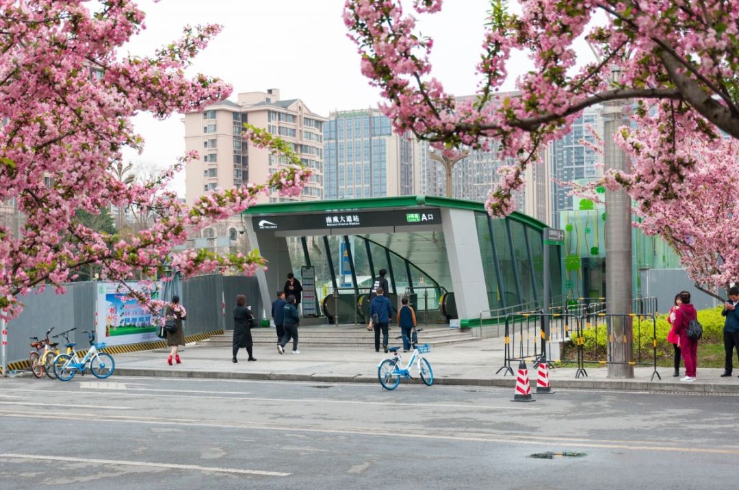 温江区幸福感城市,温江最美公园城市