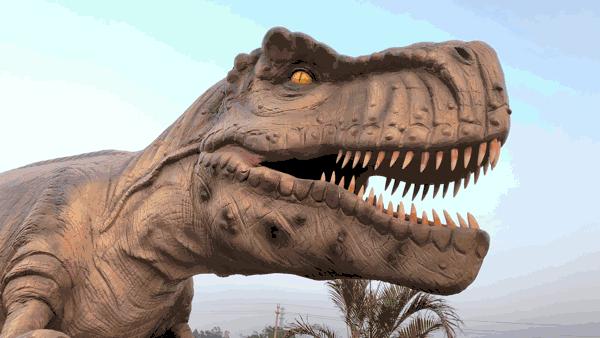 东南花都花博园景观,东南花都花博园