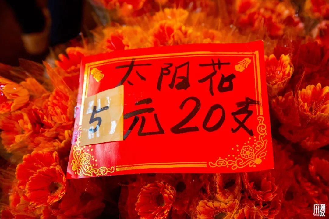 深夜去广州的花卉市场买花,如何逛斗南花卉市场买花便宜