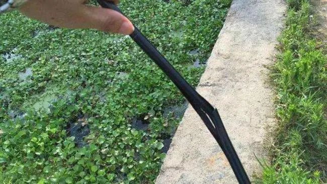 钓鱼的恶劣行为,经常钓大鱼对鱼竿有伤害吗