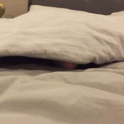 很好玩又好看的杯子,最好玩的水杯