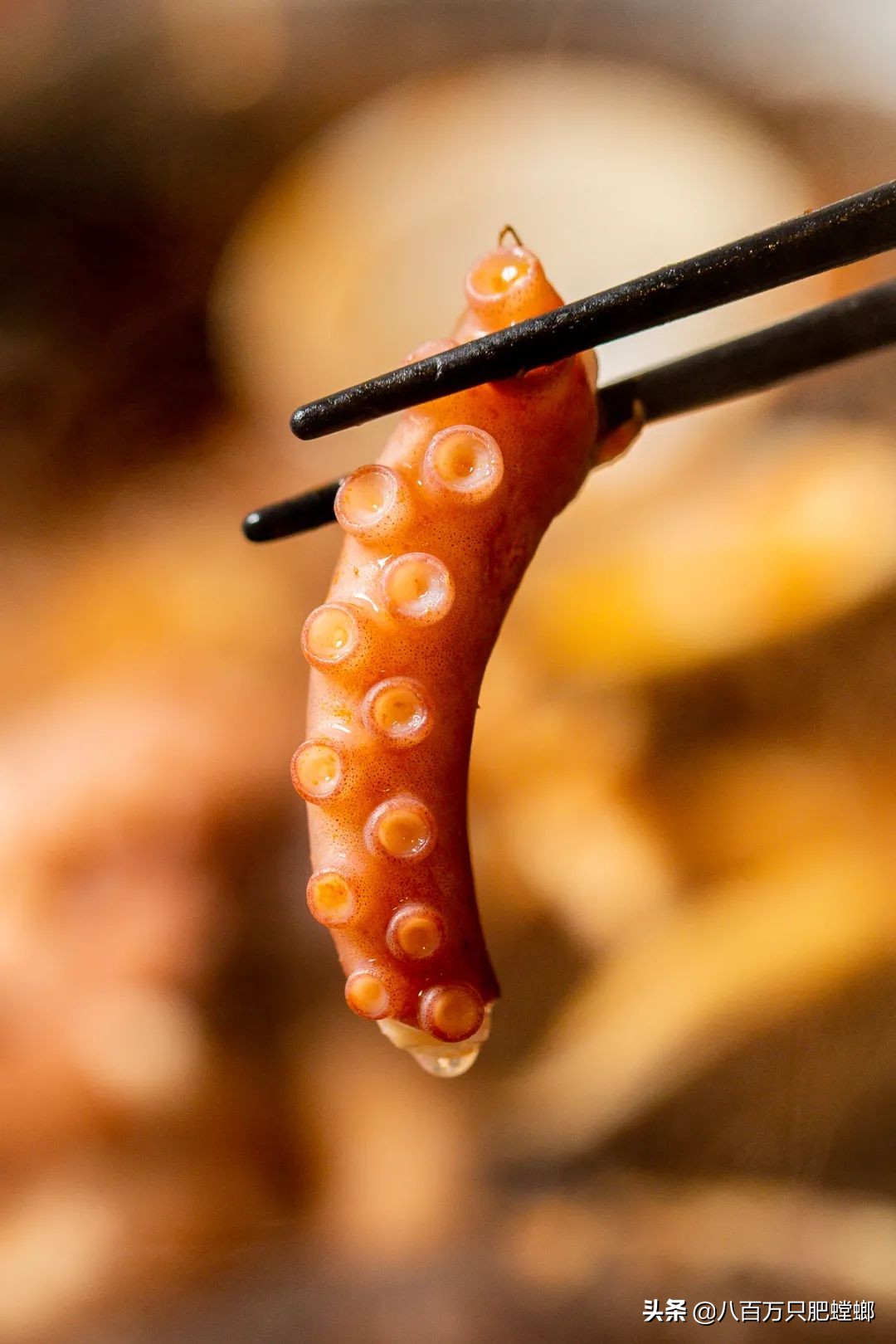 章鱼火锅日式,会动的章鱼海鲜火锅