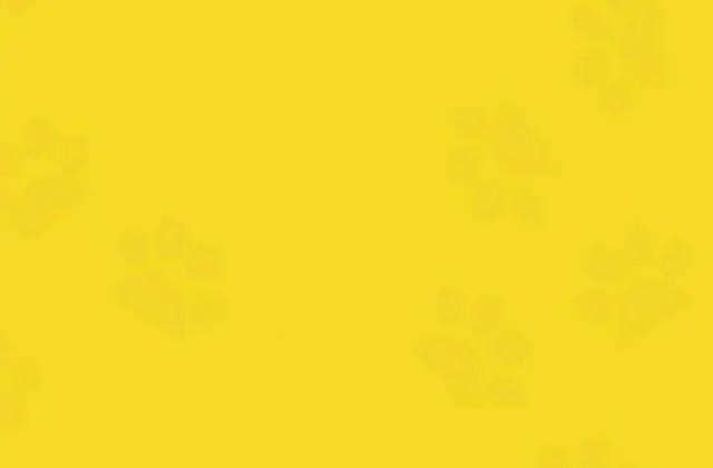 儿童性格颜色心理学,心理学之性格色彩解读是什么