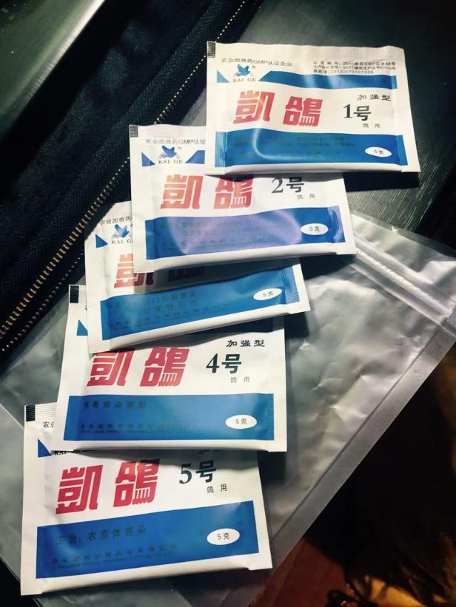 新手养鹦鹉的5大忌和注意事项,养鹦鹉需要预防的药