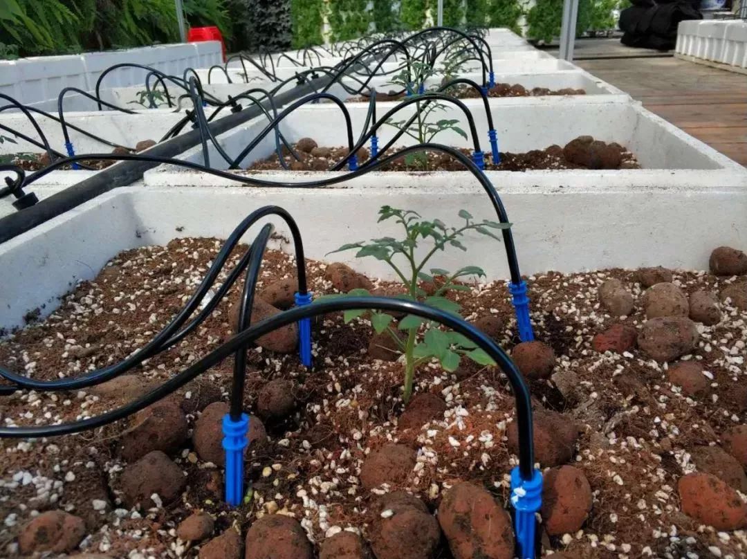 120亩自然营地,120公顷的庄园