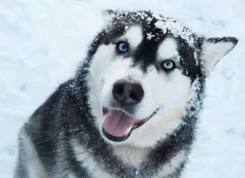 去电力设计院工作有前途吗,电力设计院每天都干什么