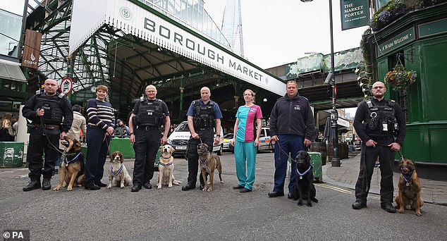 恐怖袭击里,7只警犬冷静战斗毫不畏惧,被授予官佐勋章