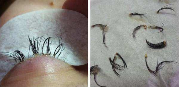 经常种睫毛哪样的好看,经常种睫毛自己的睫毛还会长吗