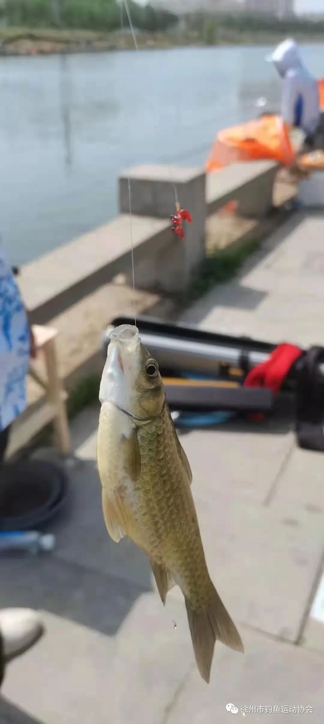 乐钓靖江比赛视频,2022乐钓江苏俱乐部联赛