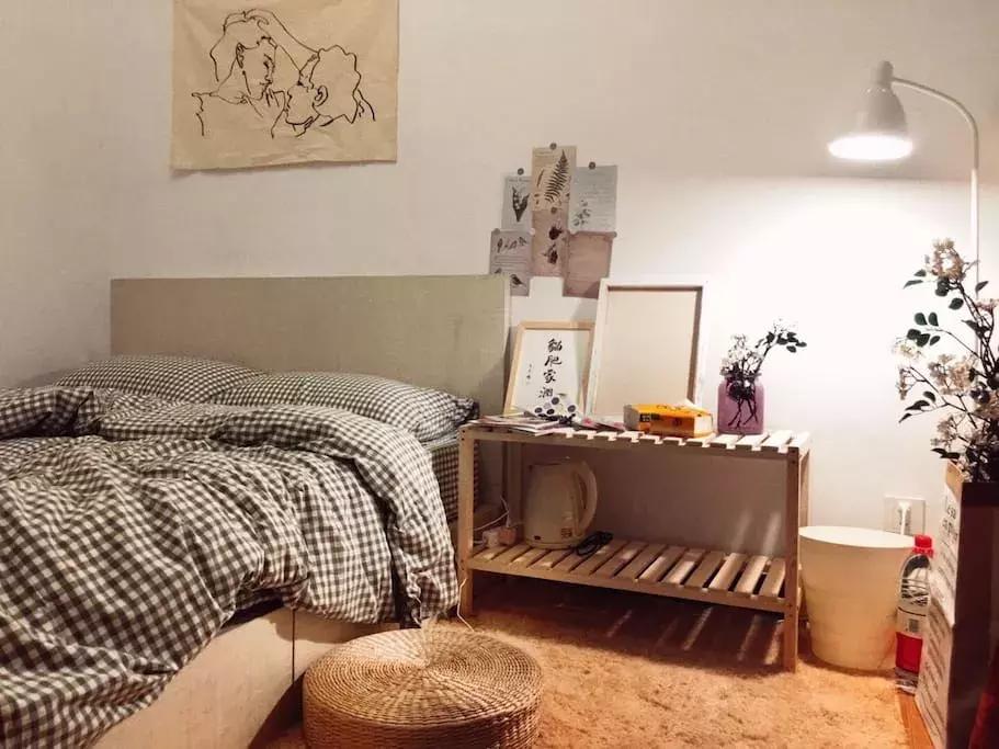 民宿投资的坑,民宿投资合伙人骗局