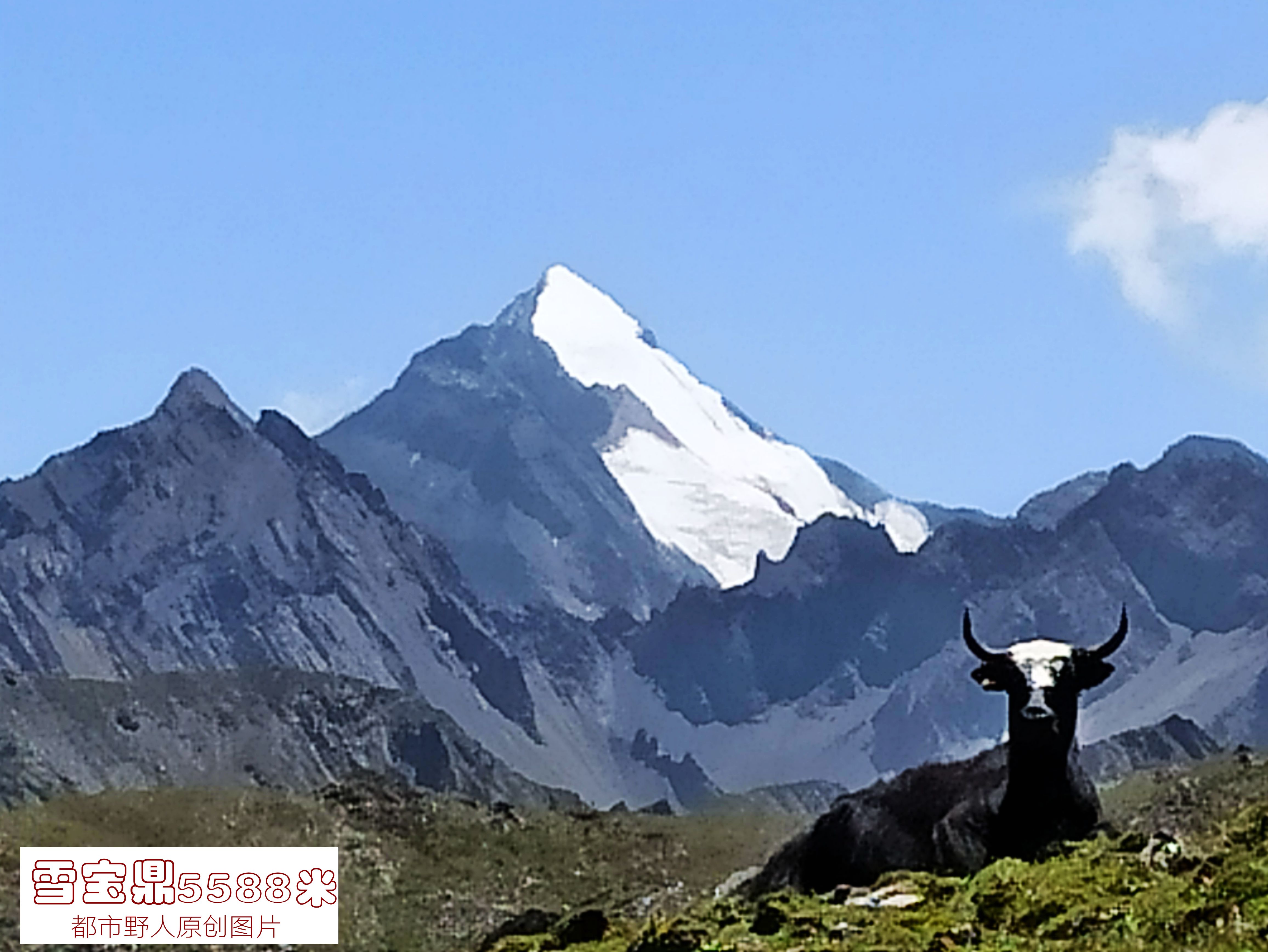 迭部:一脉相连的亲戚,因扎尕那而相聚