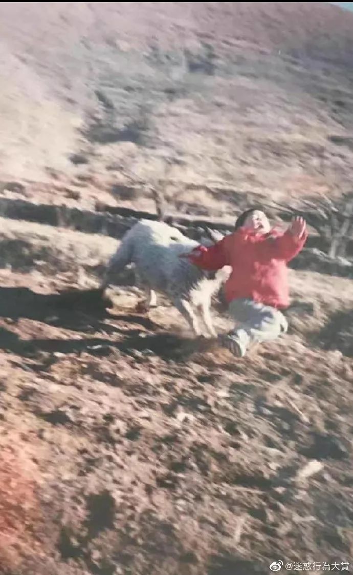 对男生说什么话*伤杀**力最大|冷段子1078去年今日1023