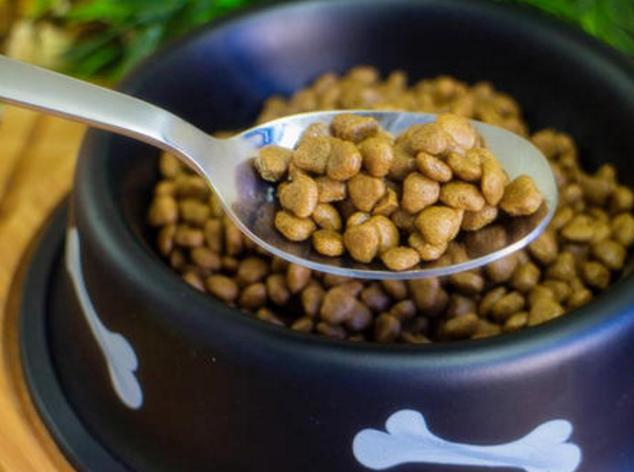 美毛泰迪狗粮排行榜前十名,美毛狗粮排行榜前十名