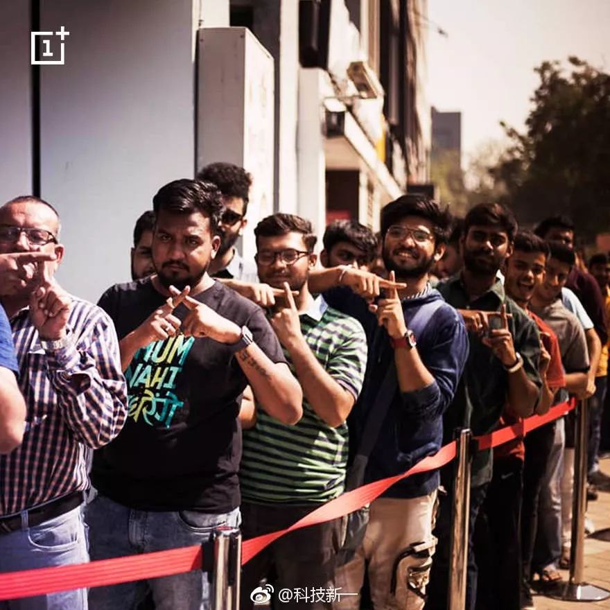 国外黄牛出售,国外黄牛和中国黄牛