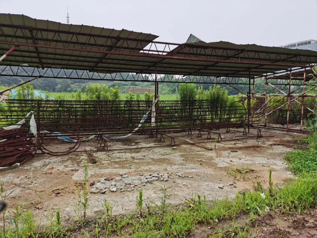 魔法森林不魔法，城北大型商综就这么没动静了？