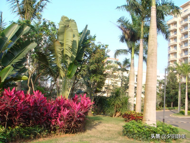 我的海南之旅全集,海南天赐上湾怎么样