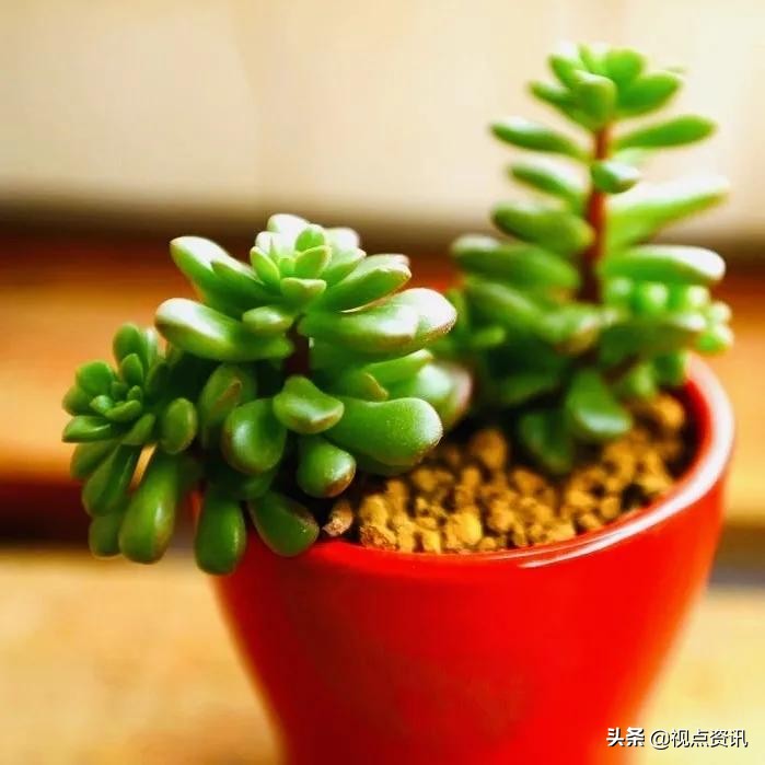 彩色的梦粉笔艺术字,彩色的梦语文课