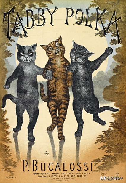 伶俐多变：文学与绘画中的猫形象