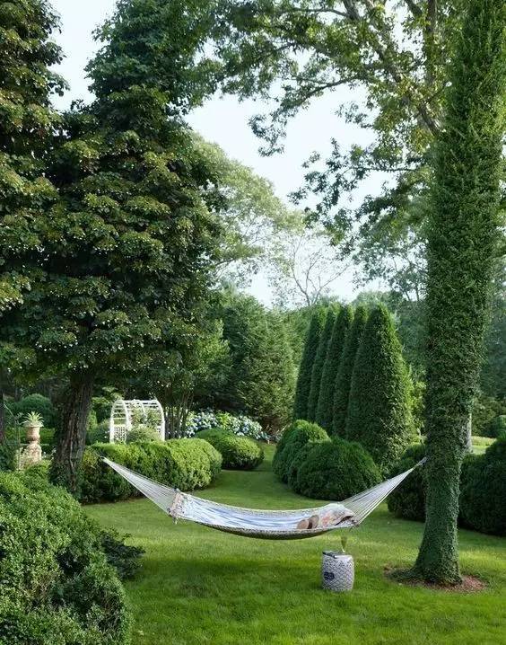 楼顶草坪花园设计效果图,花园草坪养护问题的成果概述