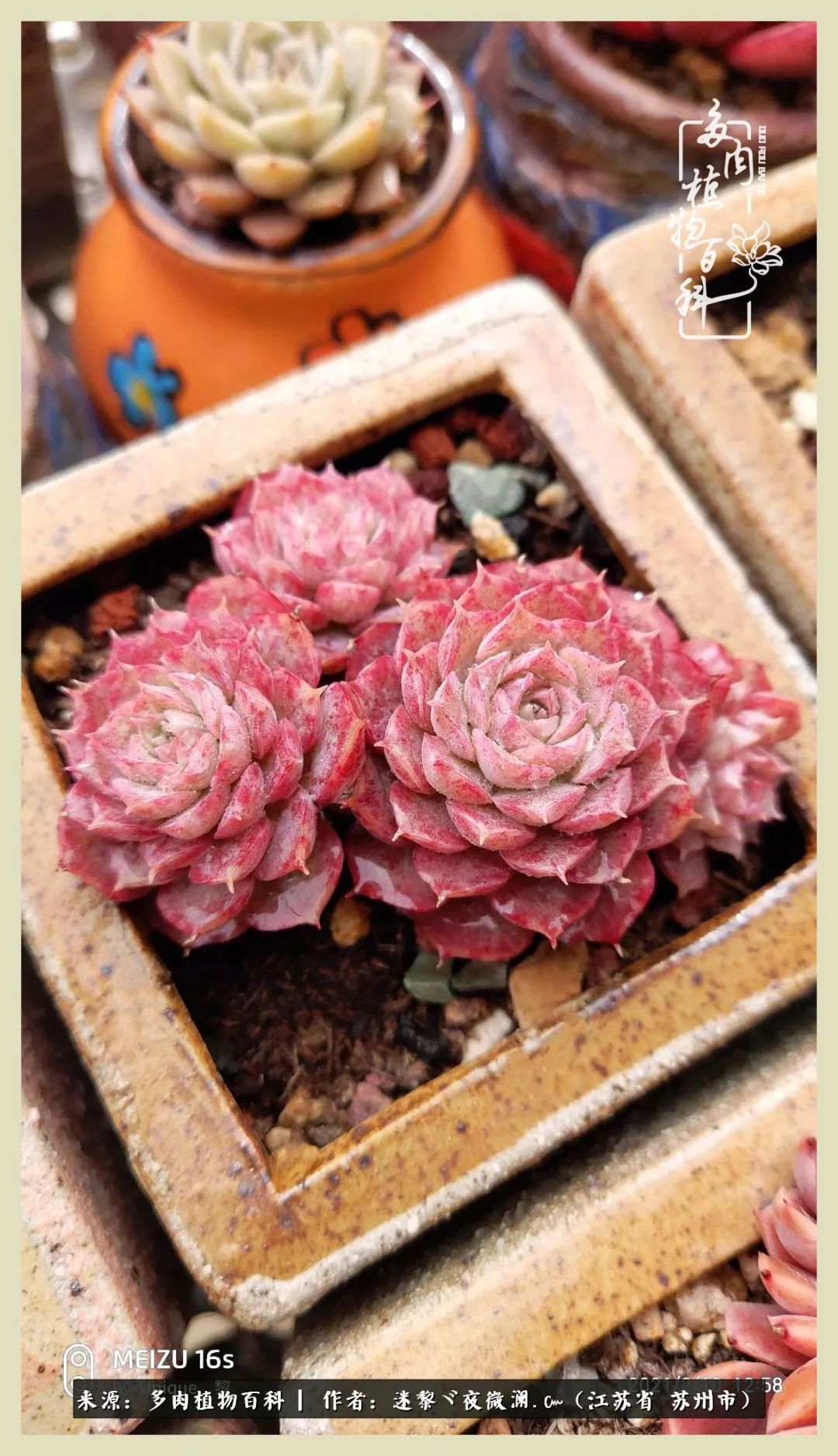 秋尽冬来岁月不居时节如流,岁月不居时节如流水